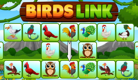 Birds Link