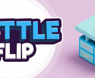 Bottle Flip