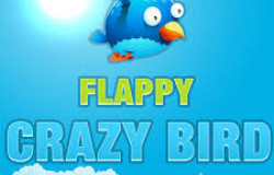 /upload/imgs/flappy-crazy-bird.jpg