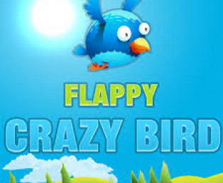 Flappy Crazy Bird