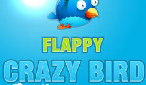 Flappy Crazy Bird
